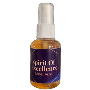 Spirit of Excellence